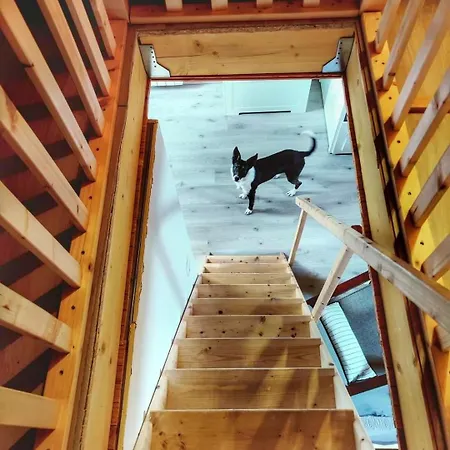 Hébergement de vacances La Bergerie Des Volcans - Dogfriendly
