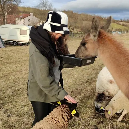La Bergerie Des Volcans - Dogfriendly Hébergement de vacances *