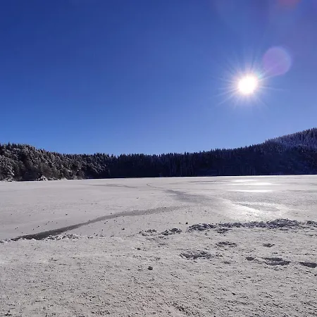 La Bergerie Des Volcans - Dogfriendly Saint-Nectaire