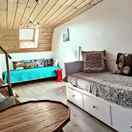 La Bergerie Des Volcans - Dogfriendly