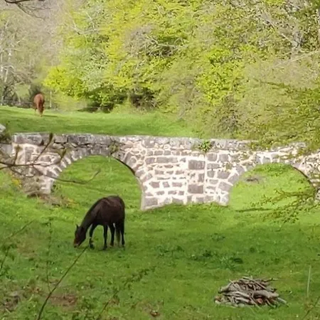 La Bergerie Des Volcans - Dogfriendly