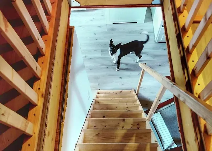 Dom wakacyjny La Bergerie Des Volcans - Dogfriendly