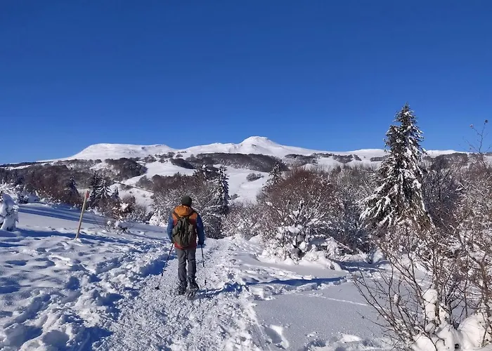 Dom wakacyjny La Bergerie Des Volcans - Dogfriendly Saint-Nectaire