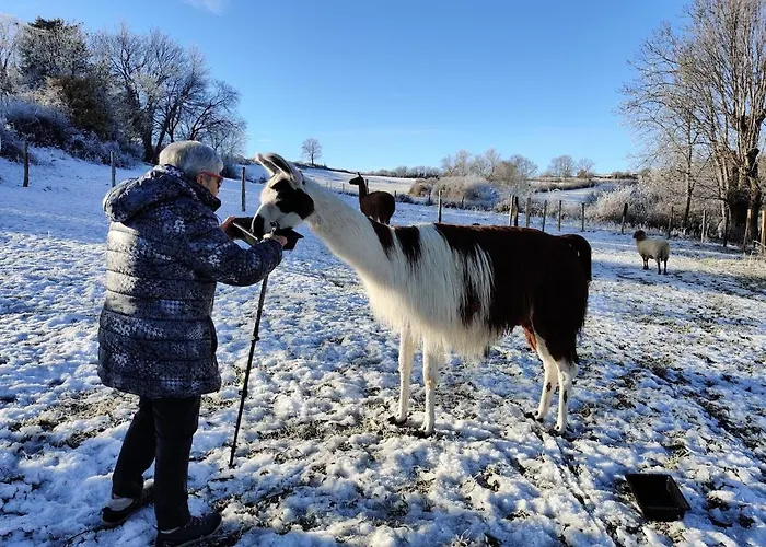 Dom wakacyjny La Bergerie Des Volcans - Dogfriendly *