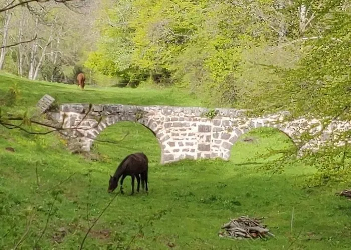 La Bergerie Des Volcans - Dogfriendly